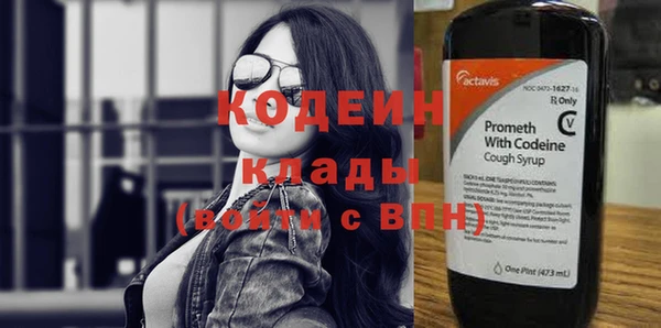 шишки Карпинск