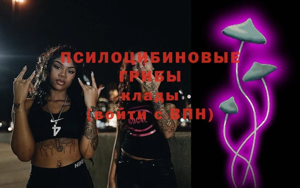 сатива Касимов