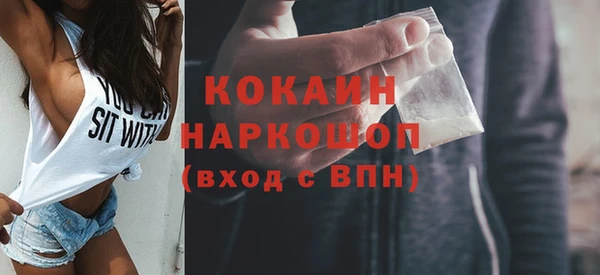 шишки Карпинск