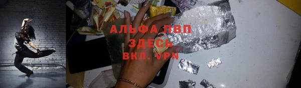 сатива Касимов