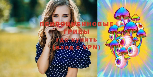 шишки Карпинск