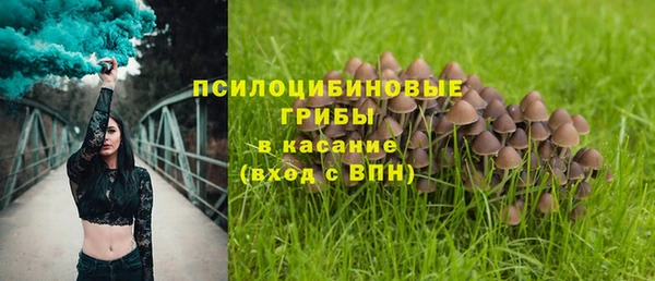 шишки Карпинск
