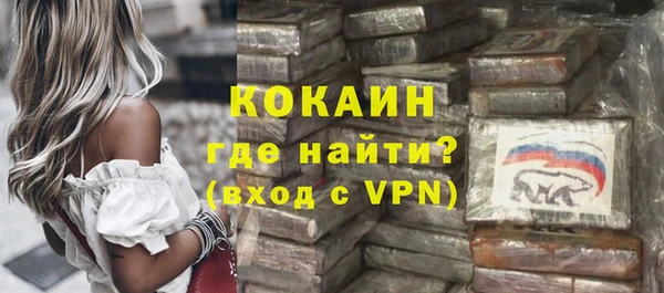 сатива Касимов