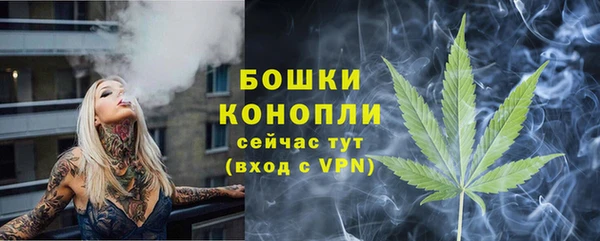 шишки Карпинск